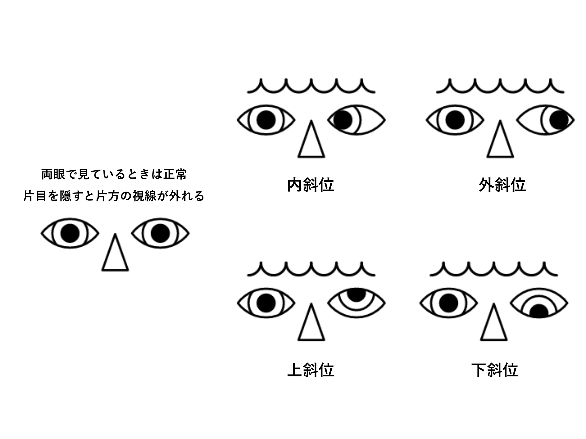 商品イメージ